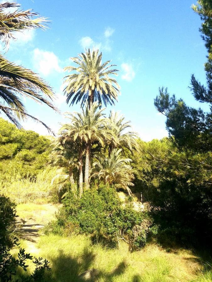 דירות ארנאלס דל סול Apartament Playa Arenales מראה חיצוני תמונה